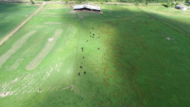 Short’s Family Farm